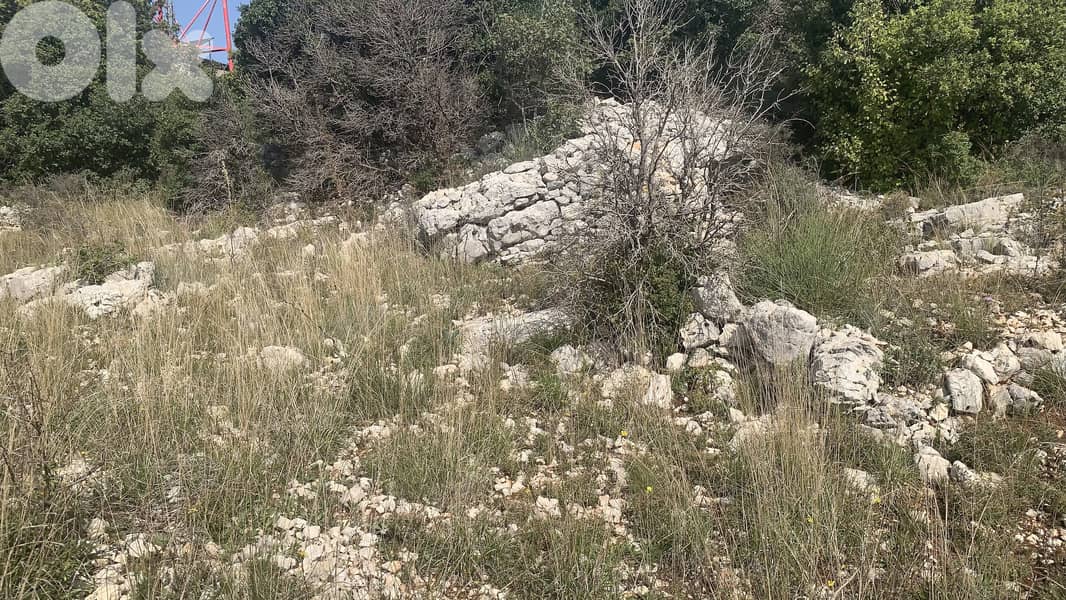 RWB214MT - Land for sale in Obeidat Jbeil ارض للبيع في عبيدات جبيل 3