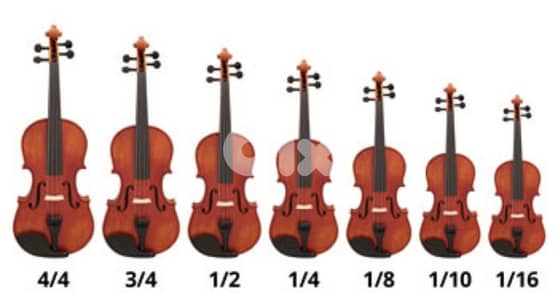violons all sizes with bags very good quality in a good price