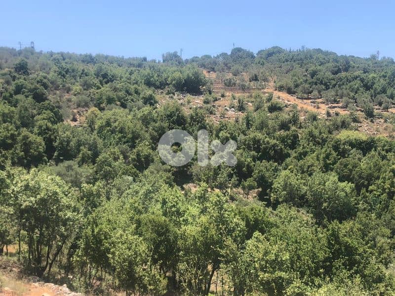 ارض للبيع في حاصبيا الجنوب land for sale in hasbaya 1