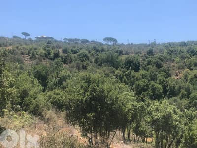 ارض للبيع في حاصبيا الجنوب land for sale in hasbaya