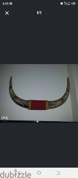 قرن الثور