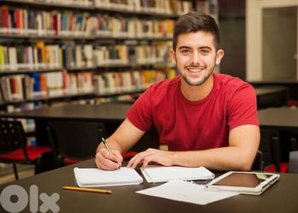 Private teacher for agenda lessons complementary classes till Seconde