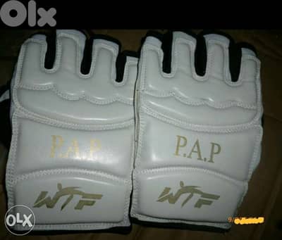 Taekwondo gloves