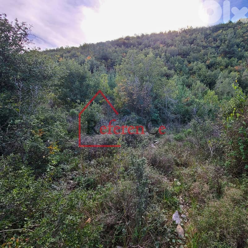A Unique piece of Land in Zebdine ارض في زبدين مع اطلالة 1