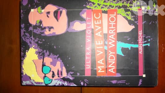 Ma vie avec Andie Warhol book