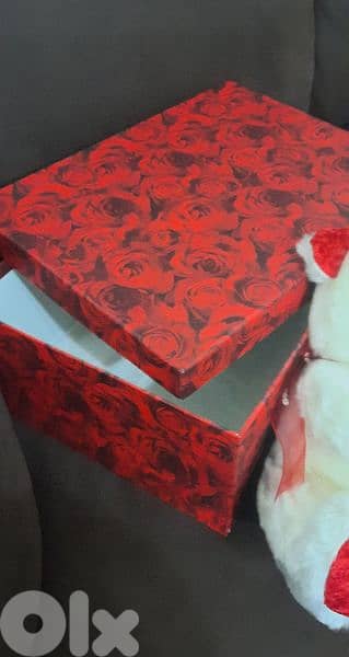 Gift Box + dabdoub twins. دبدوب مع علبة 1