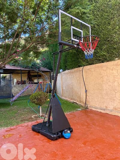 230$ movable hoop basketball