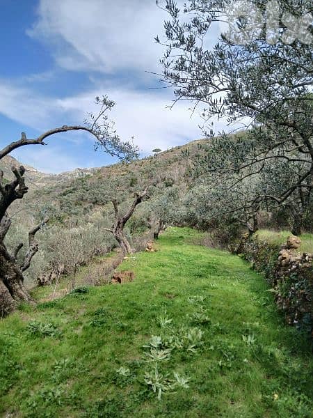 ارض للبيع في راشيا الوادي land for sale in rashaya 2