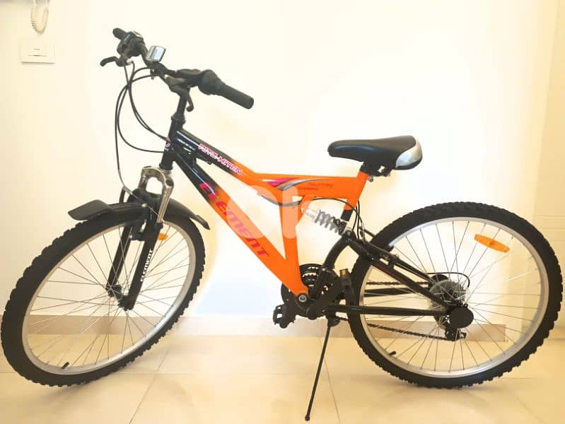 mountain bicycle 1