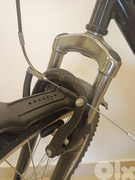 mountain bicycle 5