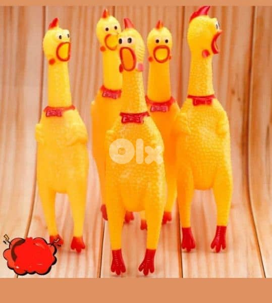 crazy chicken!! 2