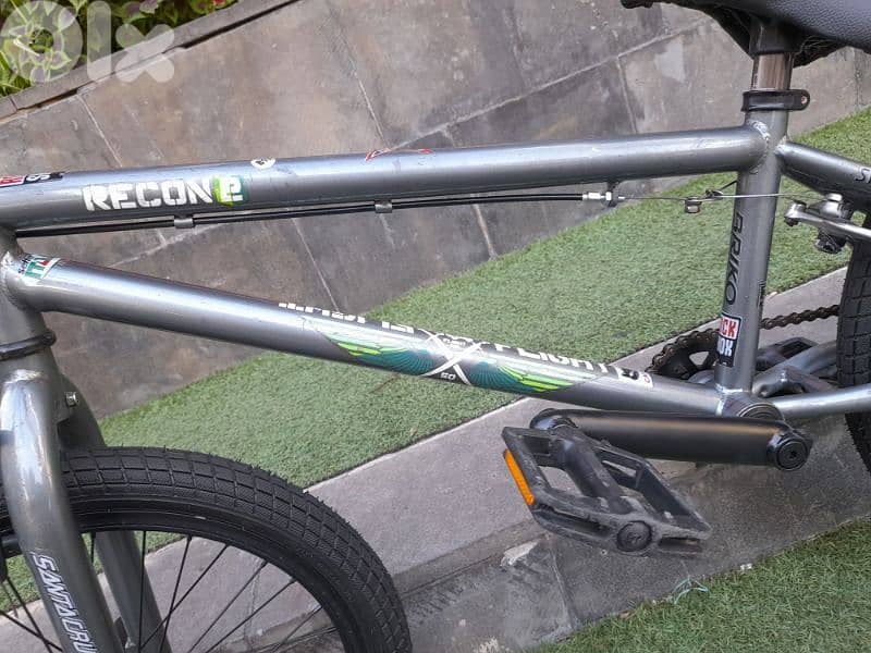 cety bike 6