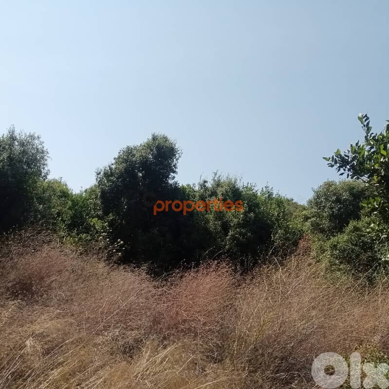 Amazing Land for sale in edde jbeil ارض خيالية للبيع في اده CPJRK213 4