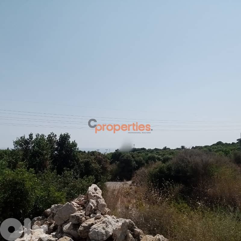 Amazing Land for sale in edde jbeil ارض خيالية للبيع في اده CPJRK213 6