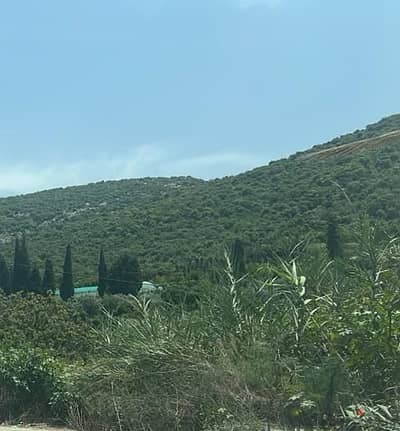 Land for sale in Batroun  ارض للبيع في البترون