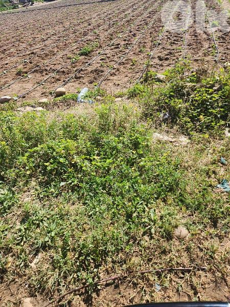 land for sale in damour . أرض للبيع في الدامور 2