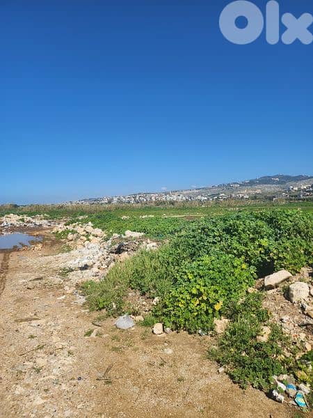 land for sale in damour . أرض للبيع في الدامور 6