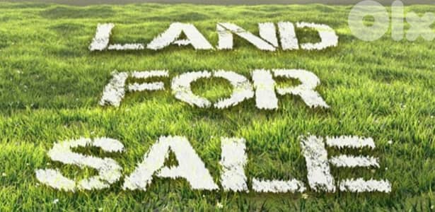 Land for sale in Faitroun ارض للبيع في فيترون