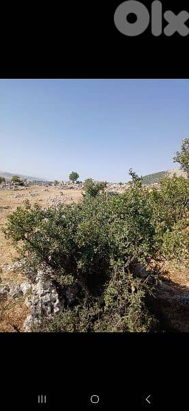 ارض للبيع في راشيا الوادي land for sale in rashaya 1