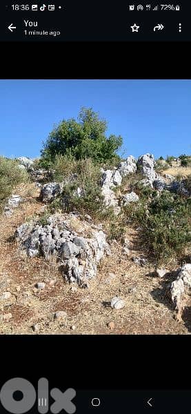 ارض للبيع في راشيا الوادي land for sale in rashaya 7
