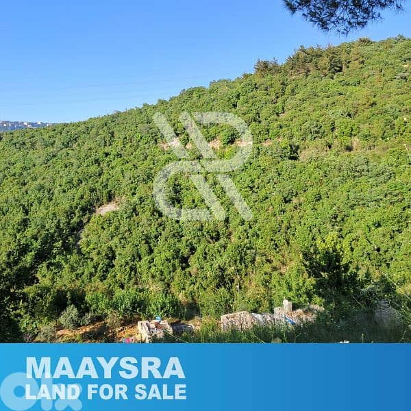 Land for sale in Maaysra - أرض للبيع في المعيصرة 1