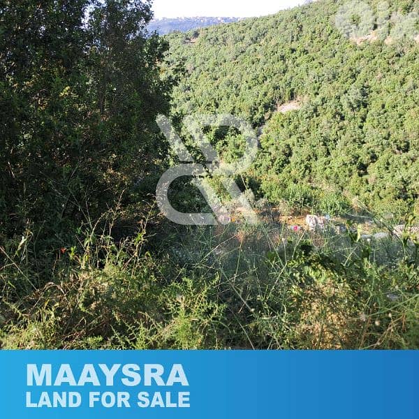 Land for sale in Maaysra - أرض للبيع في المعيصرة 2