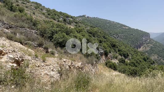 RWB159CA - Land for sale in Jbeil Ghalboun