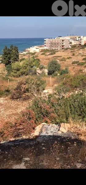 land for sale in jiyeh  أرض للبيع في الجية 3
