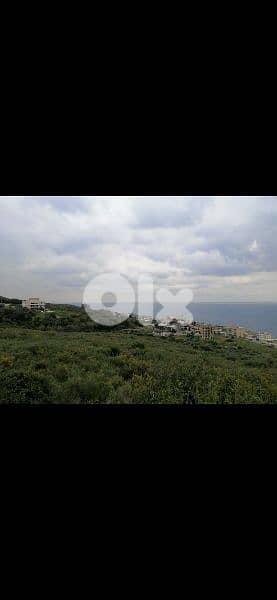 land for sale in monsef jbeil. ارض للبيع في المنصف جبيل 2