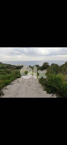 land for sale in monsef jbeil. ارض للبيع في المنصف جبيل 3