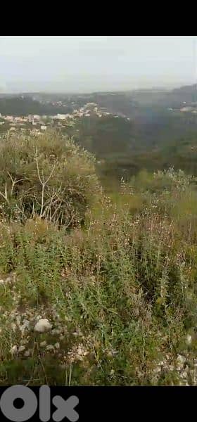 land for sale in hsaret jbeil. ارض للبيع في حصارات جبيل 1