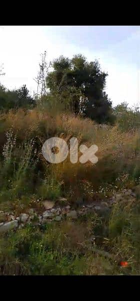 land for sale in hsaret jbeil. ارض للبيع في حصارات جبيل 2