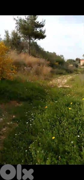 land for sale in hsaret jbeil. ارض للبيع في حصارات جبيل 4