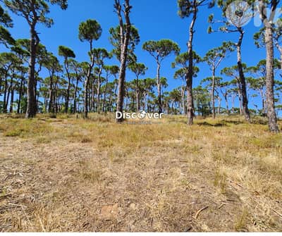 Land for Sale in Prestigious Bois de Boulogne ( Bolonia)