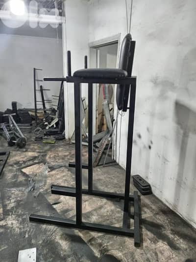 Dips and leg raises only for 150 dollar 03027072 GEO SPORT EQUIPMENT