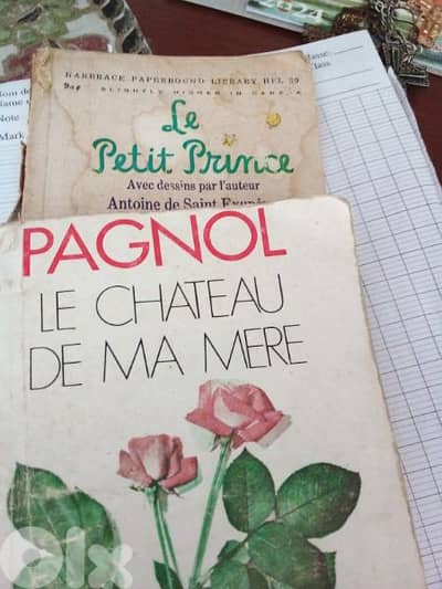 Le petit prince. Le chateau de ma mère