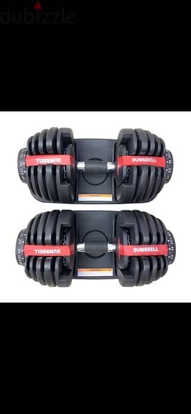 Bowflex dumbells new 24 and 42 kg for 225$. Stand is available