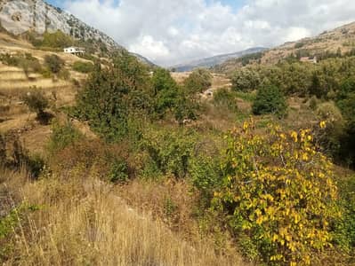 RWB123PK - Land for sale in Laklouk Jbeil