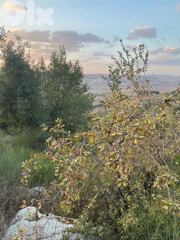ارض للبيع في راشيا الوادي land for sale in rashaya 6
