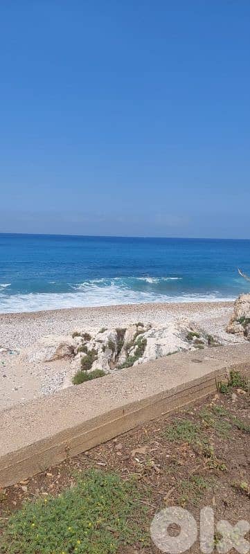 land for sale in naher ibrahim. ارض للبيع في نهر ابراهيم 4