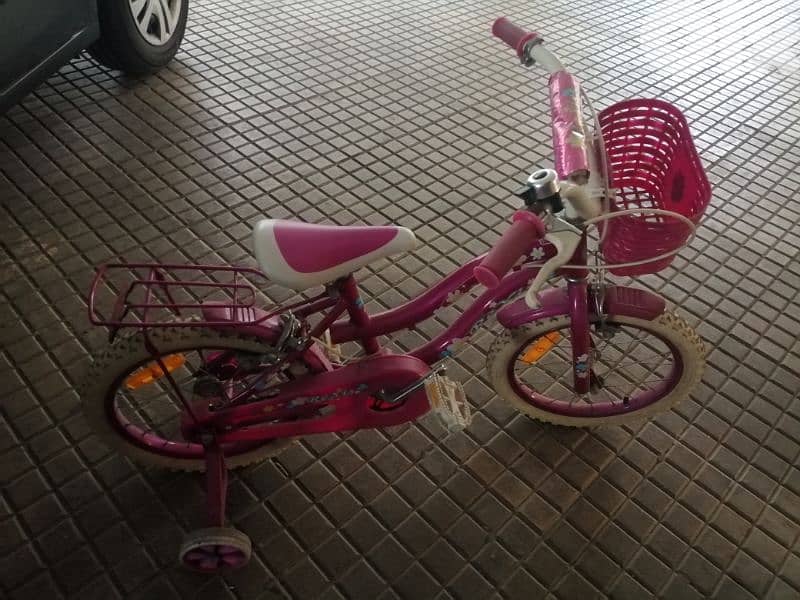 bicycle 1