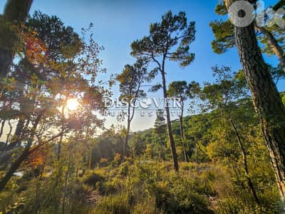 Rare Find Alert: Unmatched Land in Shalimar, Baabdat  ( chalimar)