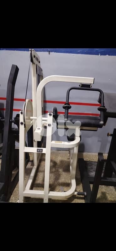 Life Fitness triceps machine used 700$