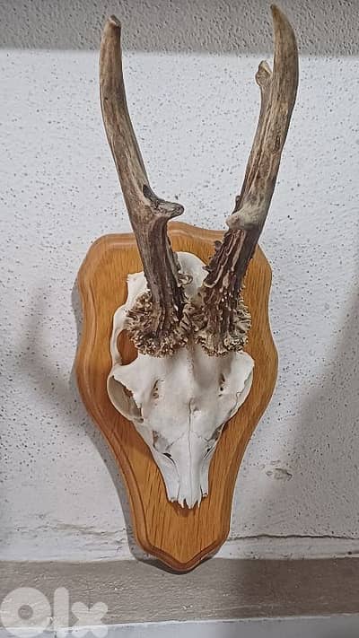 antique