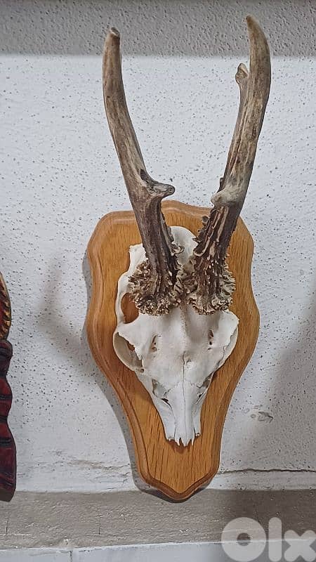 antique 1