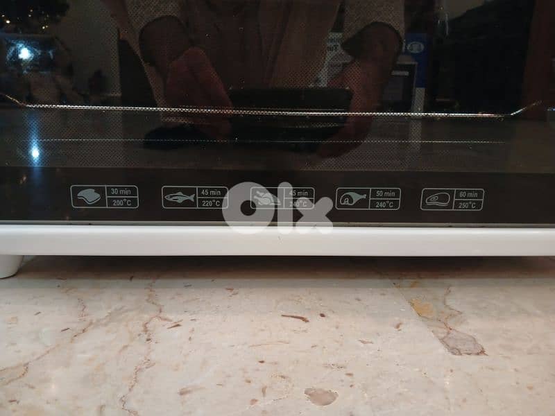 electric oven 1