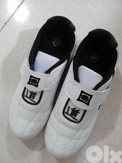 Taekwondo shoes