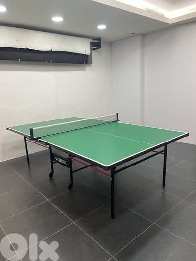 Tennis Table Ping Pong Outdoor Chiodi with set of rackets