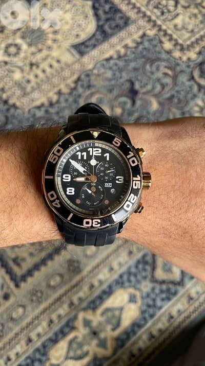 rovina watch