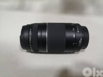 lens Canon 75_300mm